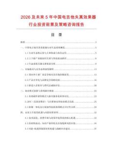 2026及未來5年中國(guó)電吉他失真效果器行業(yè)投資前景及策略咨詢報(bào)告
