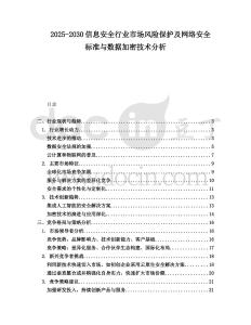 2025-2030信息安全行業市場風險保護及網絡安全標準與數據加密技術分析