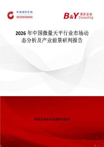 2026年中國微量天平行業(yè)市場動態(tài)分析及產(chǎn)業(yè)前景研判報告