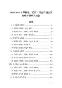 2025-2030年厚板坯（粗钢）行业跨境出海战略分析研究报告