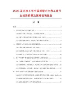 2026及未來5年中國球型內六角工具行業投資前景及策略咨詢報告