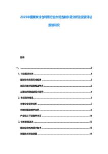 2025中國煤炭綜合利用行業(yè)市場當(dāng)前供需分析及投資評估規(guī)劃研究