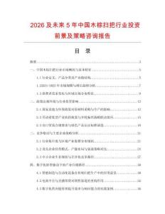 2026及未來5年中國(guó)木棕掃把行業(yè)投資前景及策略咨詢報(bào)告