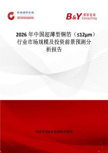 2026年中國(guó)超薄型銅箔（≤12μm）行業(yè)市場(chǎng)規(guī)模及投資前景預(yù)測(cè)分析報(bào)告