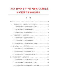 2026及未來5年中國水獺絨大頭帽行業(yè)投資前景及策略咨詢報告