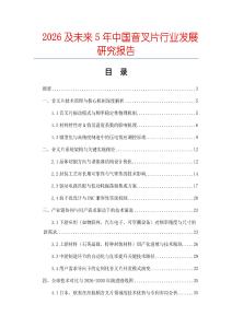 2026及未來5年中國(guó)音叉片行業(yè)發(fā)展研究報(bào)告