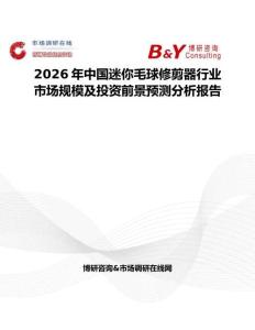 2026年中國迷你毛球修剪器行業市場規模及投資前景預測分析報告