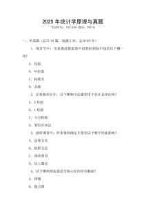 2025年統計學原理與真題