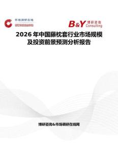 2026年中國藤枕套行業市場規模及投資前景預測分析報告