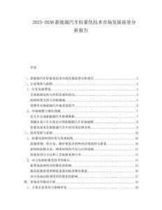 2025-2030新能源汽車輕量化技術(shù)市場發(fā)展前景分析報告