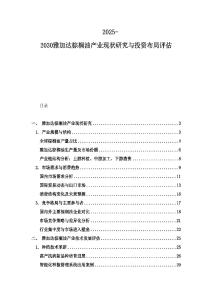 2025-2030雅加達棕櫚油產(chǎn)業(yè)現(xiàn)狀研究與投資布局評估