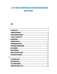 2025中國汽車改裝件制造行業市場供需分析及投資評估規劃分析報告