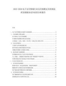 2025-2030電子支付領(lǐng)域行業(yè)支付規(guī)模安全機(jī)制技術(shù)發(fā)展服務(wù)競(jìng)爭(zhēng)前景分析報(bào)告