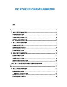 2025第三方支付行業(yè)市場(chǎng)競(jìng)爭(zhēng)與技術(shù)發(fā)展趨勢(shì)報(bào)告