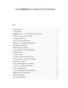 2026聚醚酮酮在油氣田裝備中的應用前景報告