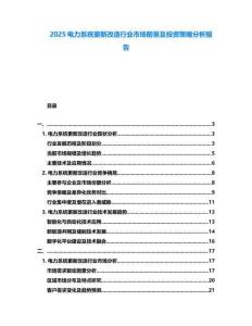 2025電力系統(tǒng)更新改造行業(yè)市場(chǎng)前景及投資策略分析報(bào)告