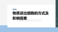2026屆高考生物一輪總復(fù)習(xí)課件：第二單元　第8課時(shí)　物質(zhì)進(jìn)出細(xì)胞的方式及影響因素