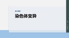 2026屆高考生物一輪總復(fù)習(xí)課件：第七單元　第30課時(shí)　染色體變異