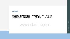 2026屆高考生物一輪總復(fù)習(xí)課件：第三單元　第10課時(shí)　細(xì)胞的能量“貨幣”ATP