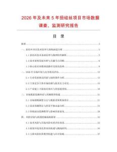 2026年及未來5年扭結絲項目市場數據調查、監測研究報告