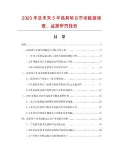 2026年及未來5年搗具項目市場數(shù)據(jù)調(diào)查、監(jiān)測研究報告
