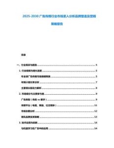 2025-2030廣告傳媒行業市場豎入分析品牌塑造及營銷策略報告