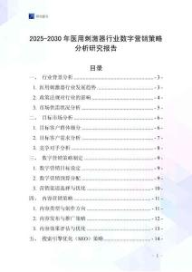 2025-2030年醫(yī)用刺激器行業(yè)數(shù)字營銷策略分析研究報告