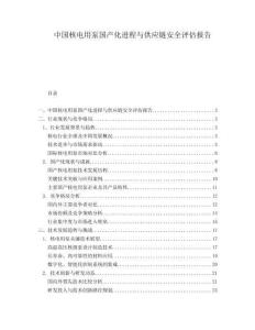 中國核電用泵國產化進程與供應鏈安全評估報告