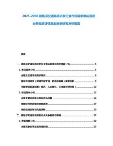 2025-2030磁懸浮交通系統(tǒng)研發(fā)行業(yè)市場(chǎng)需求供應(yīng)現(xiàn)狀分析投資評(píng)估規(guī)劃分析研究分析報(bào)告