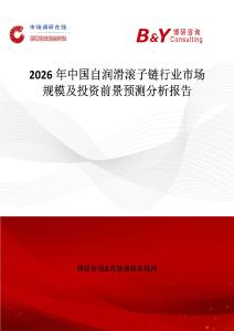 2026年中國自潤滑滾子鏈行業(yè)市場規(guī)模及投資前景預(yù)測分析報告