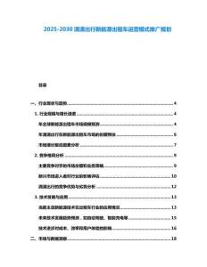 2025-2030滴滴出行新能源出租車運(yùn)營(yíng)模式推廣規(guī)劃