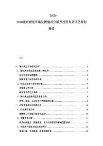 2025-2030城市規(guī)劃市場發(fā)展情況分析及投資布局評估規(guī)劃報告