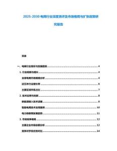 2025-2030電網(wǎng)行業(yè)深度測(cè)評(píng)及市場(chǎng)格局與擴(kuò)張政策研究報(bào)告