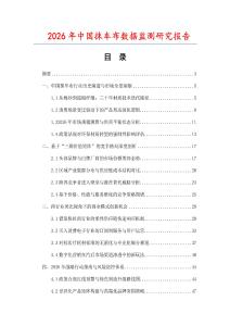 2026年中国抹车布数据监测研究报告