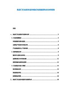 免漆门行业资本运作模式与投融资热点分析报告