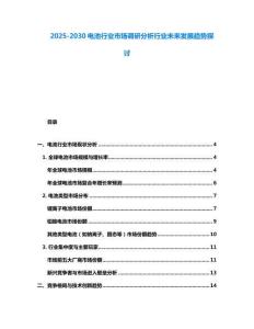 2025-2030電池行業市場調研分析行業未來發展趨勢探討