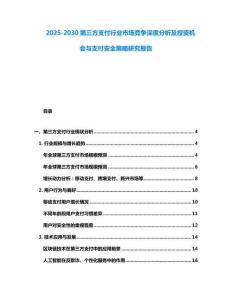 2025-2030第三方支付行业市场竞争深度分析及投资机会与支付安全策略研究报告