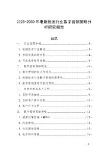 2025-2030年电锯批发行业数字营销策略分析研究报告