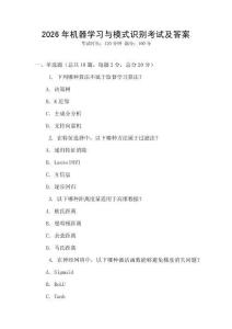 2026年機器學習與模式識別考試及答案