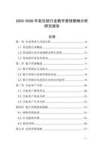 2025-2030年氧化铁行业数字营销策略分析研究报告