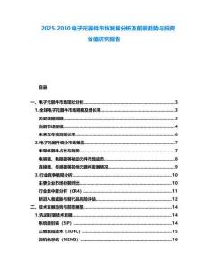 2025-2030電子元器件市場發展分析及前景趨勢與投資價值研究報告
