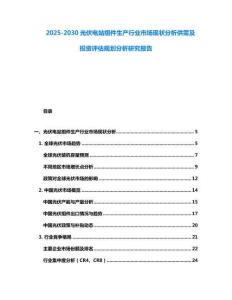 2025-2030光伏電站組件生產行業市場現狀分析供需及投資評估規劃分析研究報告
