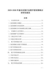 2025-2030年氯化鋱鏑行業數字營銷策略分析研究報告
