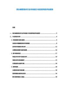 民辦編程培訓行業市場潛力與投資風險評估報告