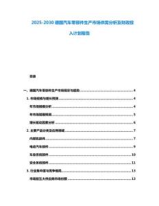 2025-2030德國汽車零部件生產(chǎn)市場(chǎng)供需分析及財(cái)政投入計(jì)劃報(bào)告