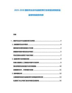 2025-2030國(guó)際司法合作金融犯罪打擊舉措及跨境資金監(jiān)管轉(zhuǎn)型趨勢(shì)構(gòu)想