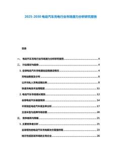 2025-2030電動(dòng)汽車(chē)充電行業(yè)市場(chǎng)潛力分析研究報(bào)告