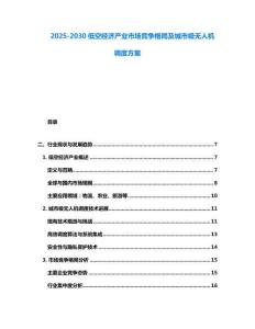 2025-2030低空經濟產業市場競爭格局及城市級無人機調度方案