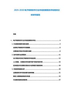 2025-2030電子商務軟件行業市場發展現狀評估規劃分析研究報告