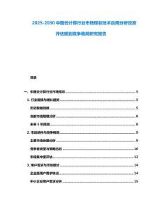 2025-2030中國云計算行業市場現狀技術應用分析投資評估規劃競爭格局研究報告